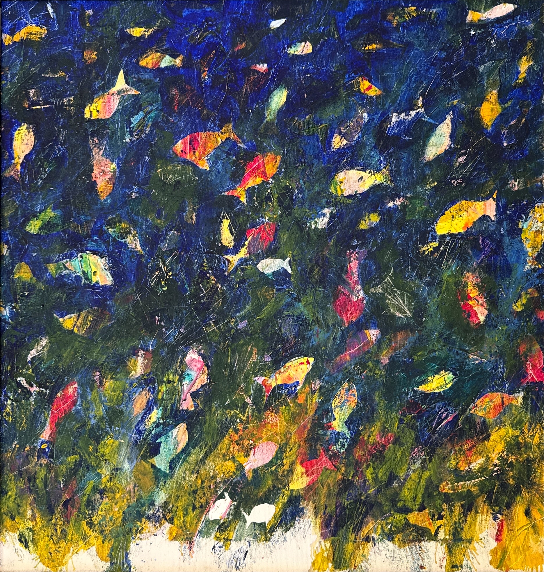 Frammentazione Marina