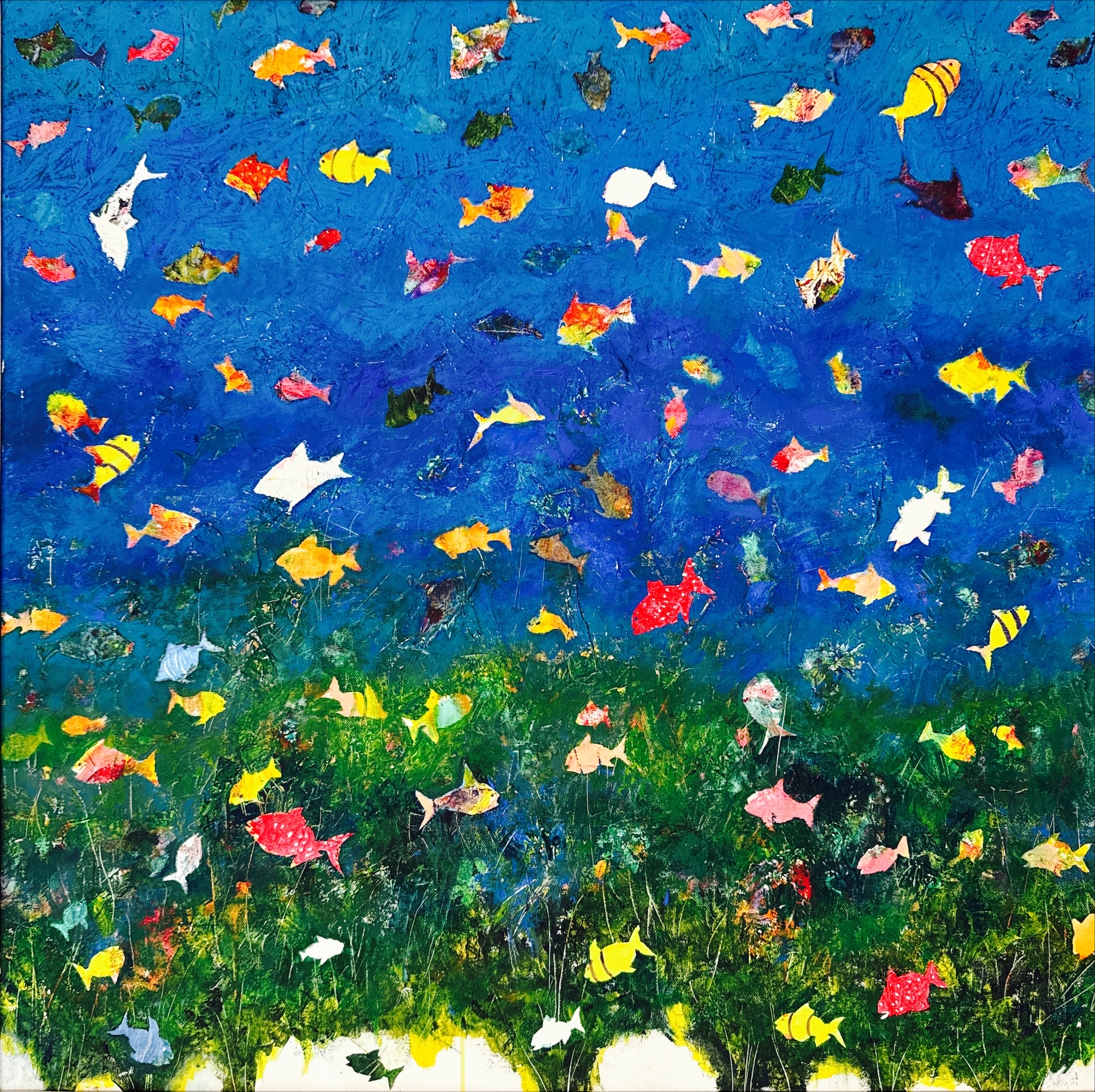 Frammentazione Marina